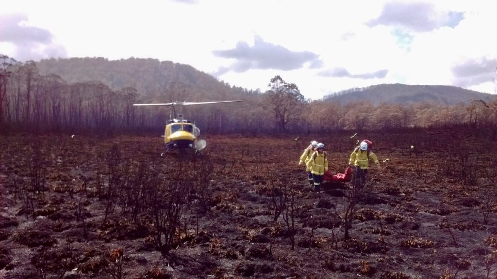 burnt-out swamp in Mt Field National Park