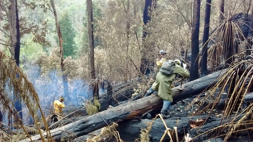 Fighting bushfire in Cradle Mountain-Lake St Claire National Park, Tasmania in late January 2016