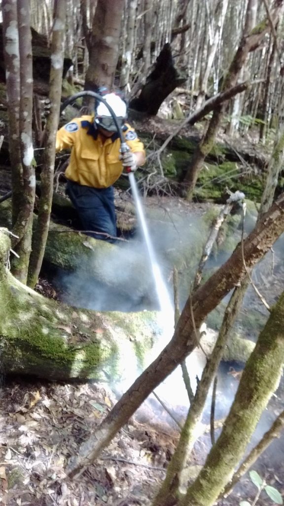 In a national park near Lake Gordon, West of Hobart, in February 2019, extinguishing a fire edge and containing the fire.