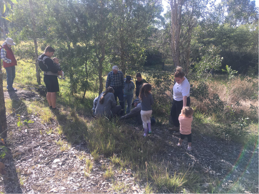 Citizen Scientists check on a turtle nesting site