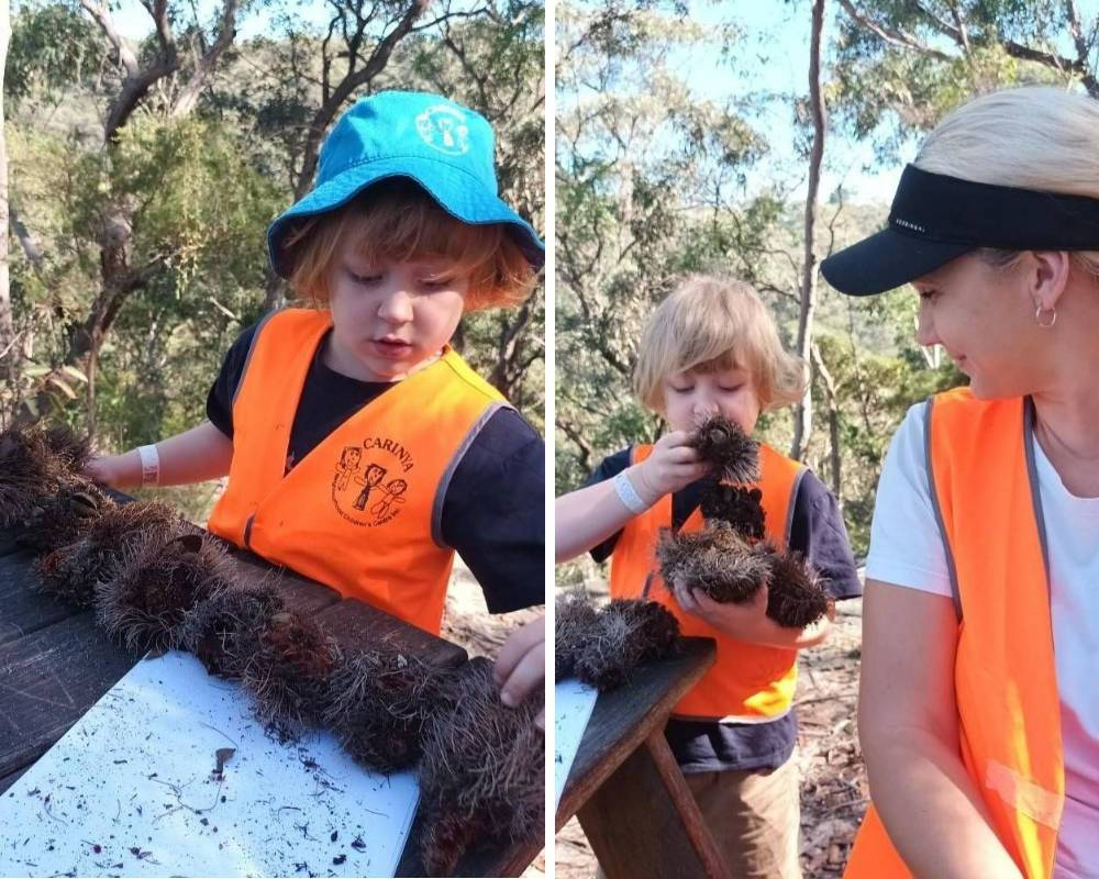 Otto (4) proudly shows off his gathered banksia collection to Carinya Centre director Alison