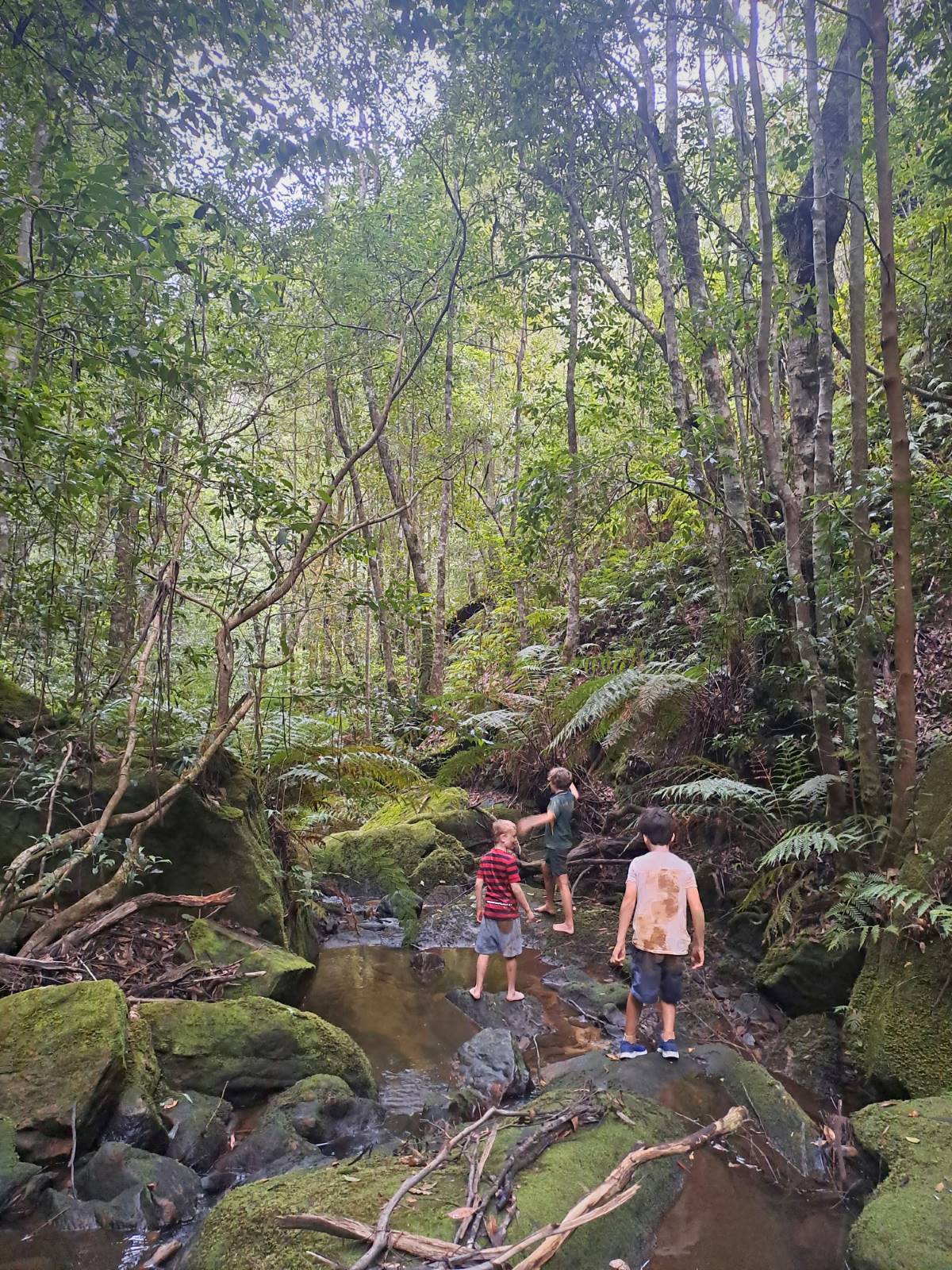  kids enjoying Blue Mountains waterways